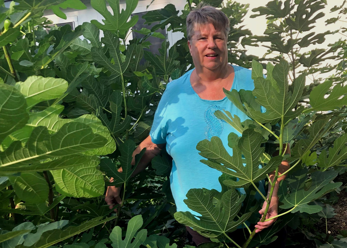 Woman standing near fig trees