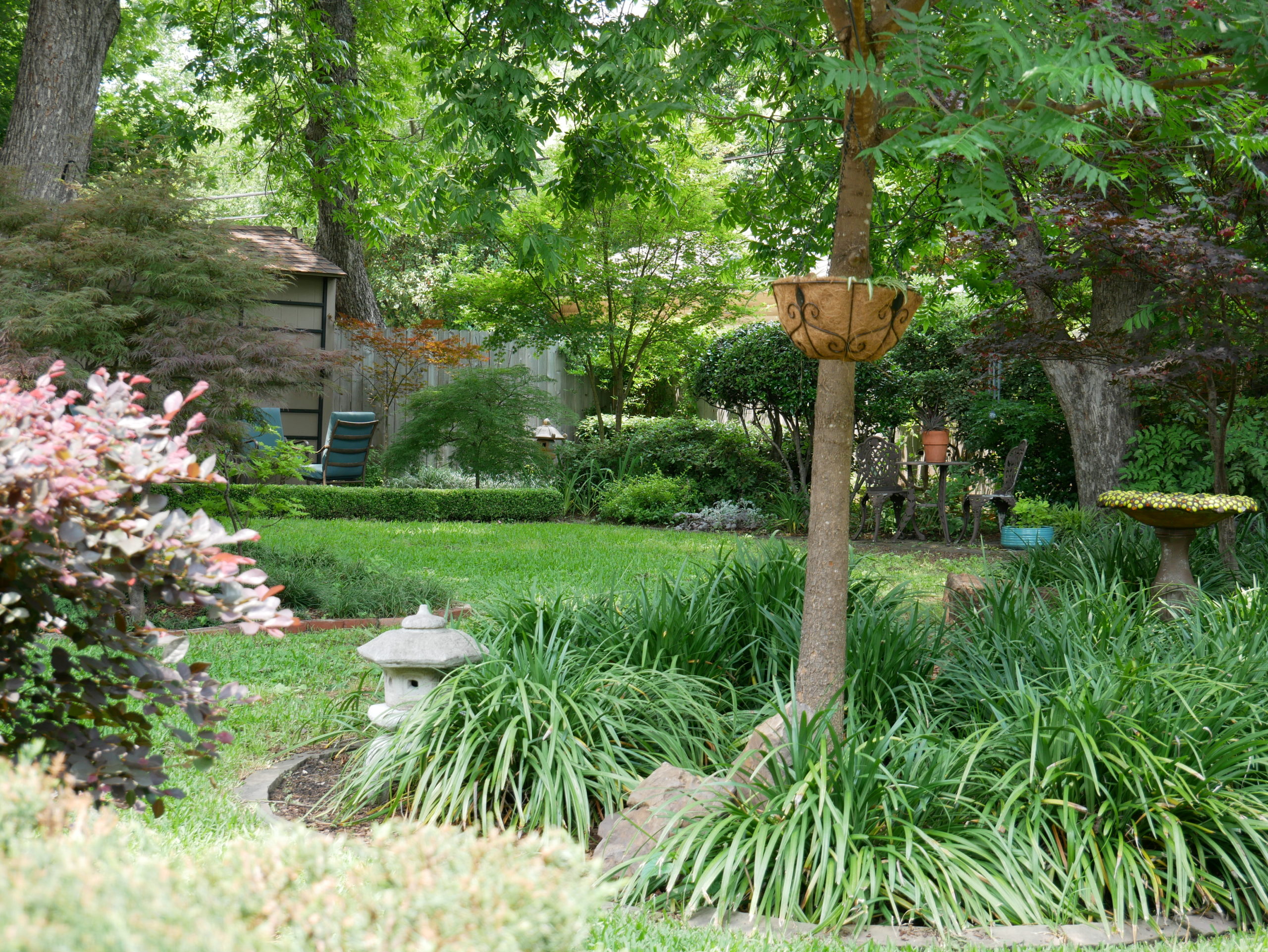 Japanese Maples and Asian inspired art in a shady backyard