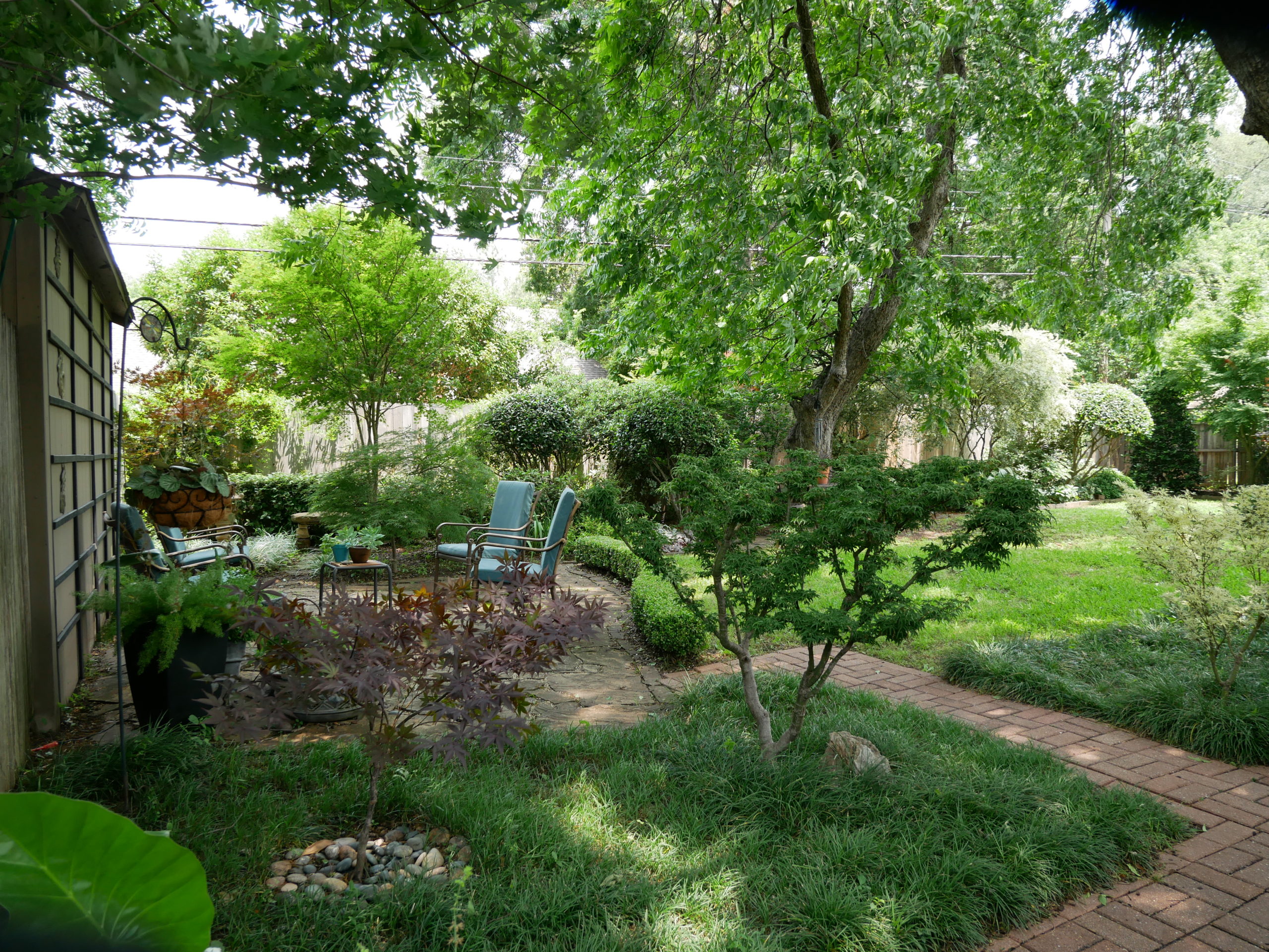 Sitting area in a shady backyard