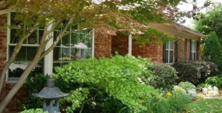 Japanese Maples in front yard of a brick house