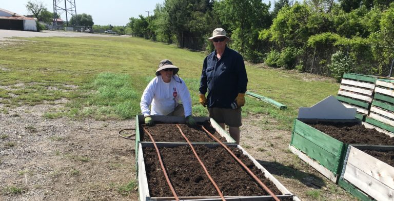 Two volunteers install drip irrigation in a raised bed