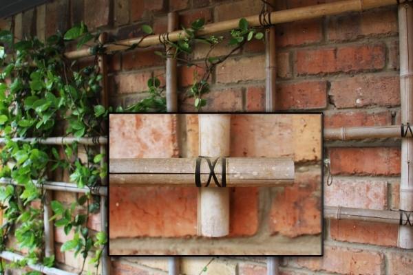 Bamboo trellis with insert of hand binding