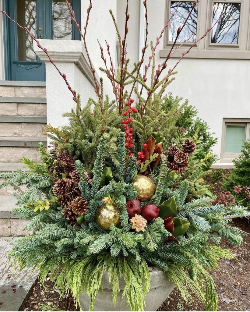 Carefree Winter Containers - Dallas County Master Gardeners Association