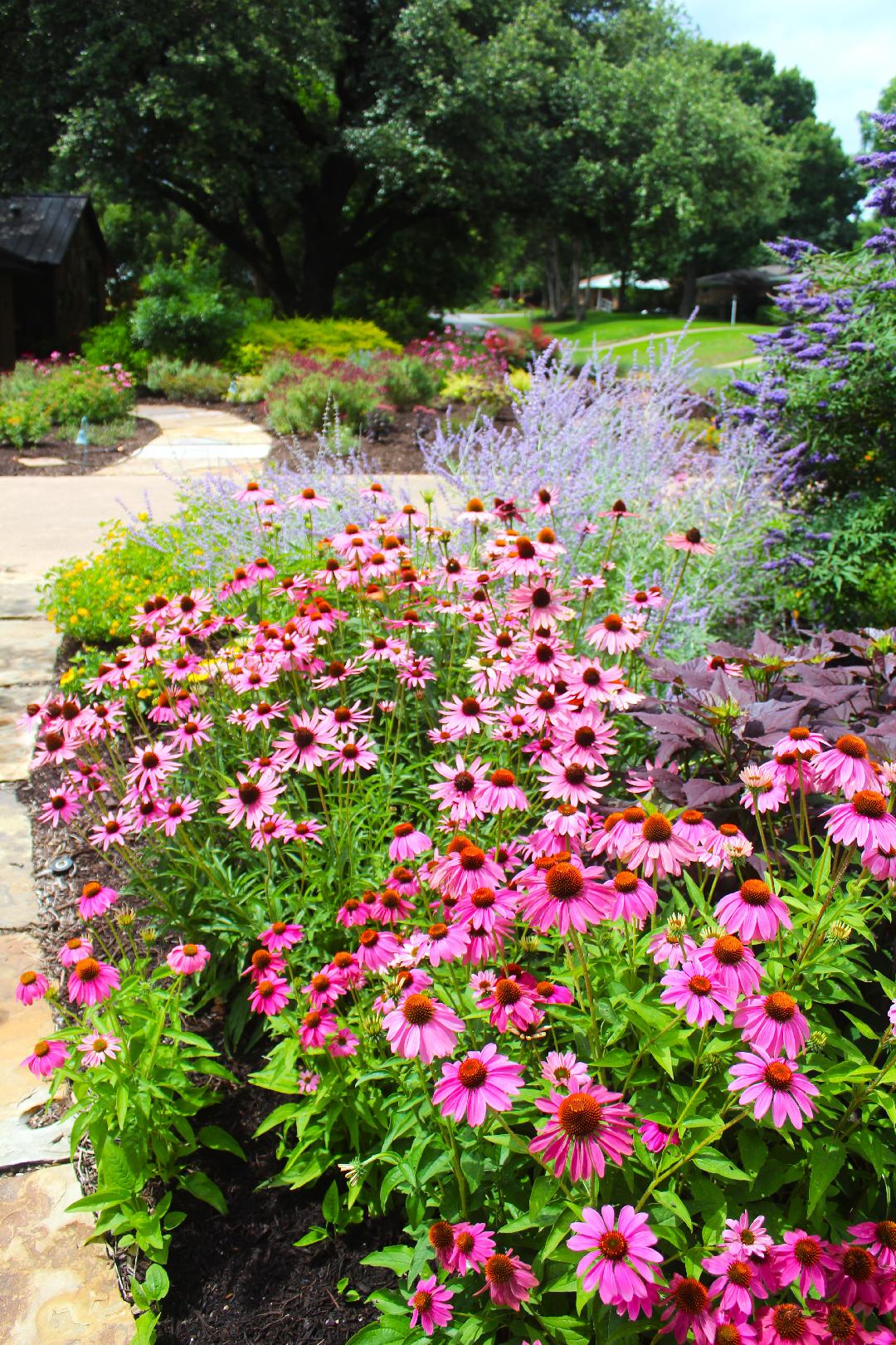 The DCMGA 2024 Garden Tour is Just Around the Corner! Dallas County