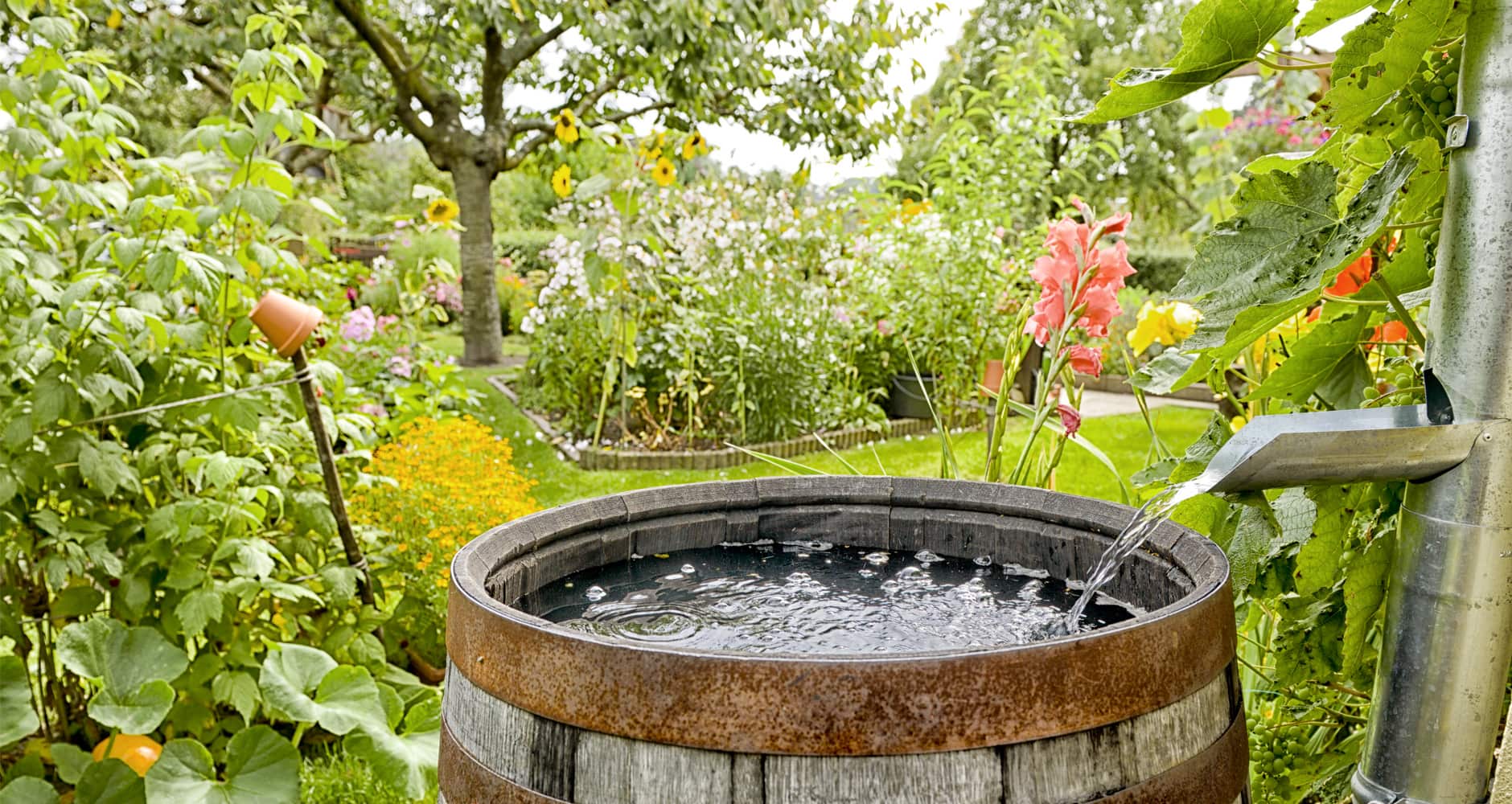 Tips on Adding a Rain Barrel to Your Garden