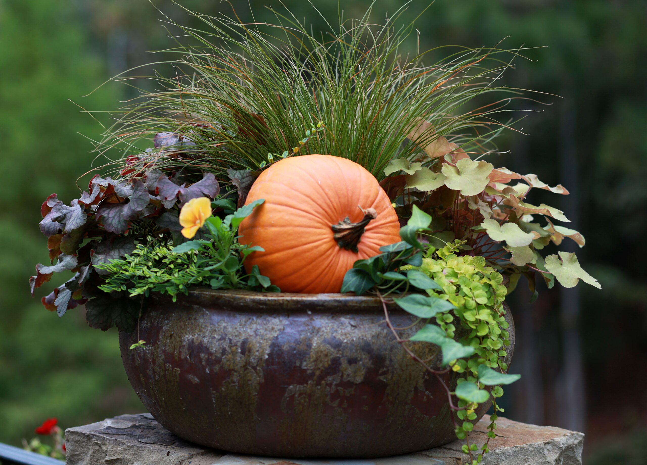 Beautiful Fall Container Ideas