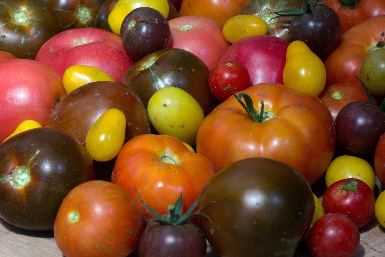 It’s Time to Think About Growing Tomatoes