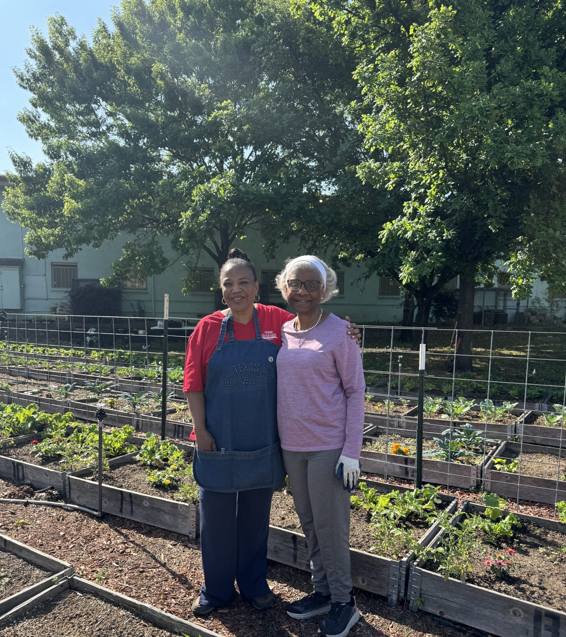 Cornerstone Community Garden Receives First DCMGA Gift Fund Award