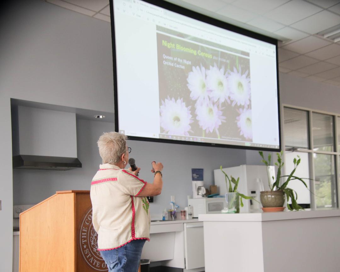 presentations night blooming cereus
