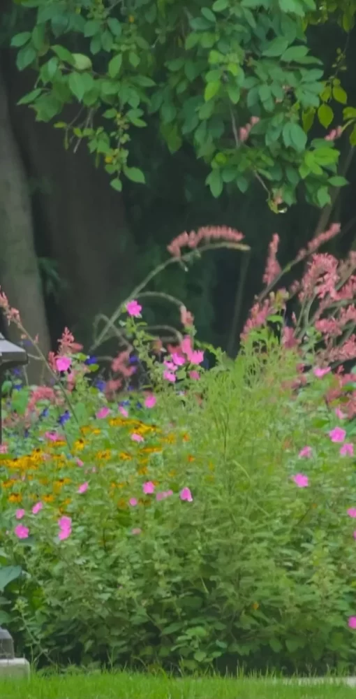 JAPANESE+GARDEN+BANNER+1