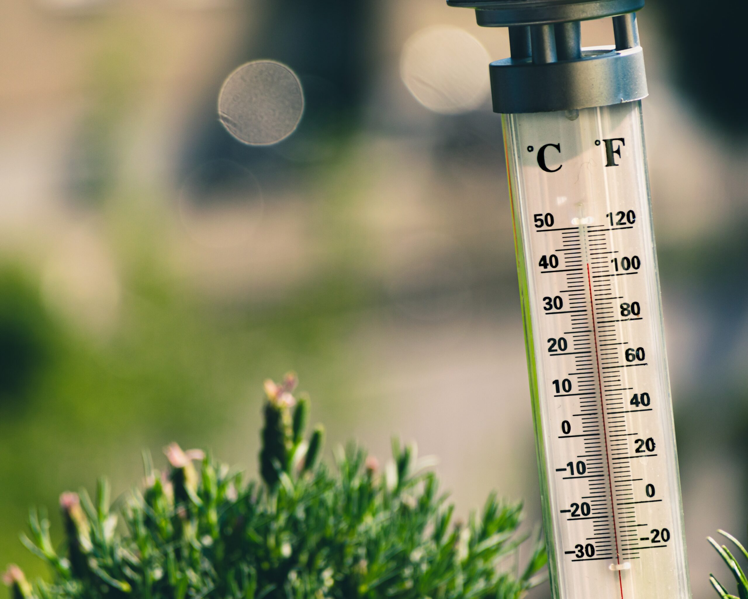 The Calendar Says Fall, but the Thermometer Says Summer